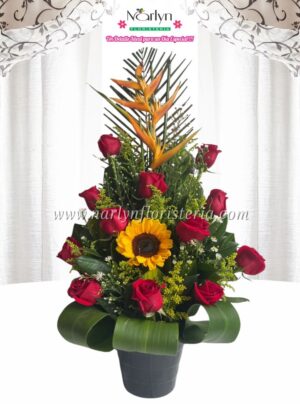 Ref. 905